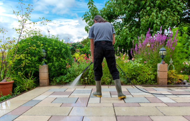 Trusted Show Low, AZ Pressure Washing Services Experts