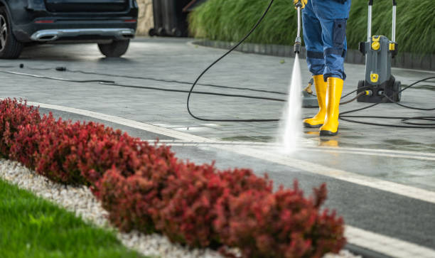 Best Graffiti Removal Services in Show Low, AZ